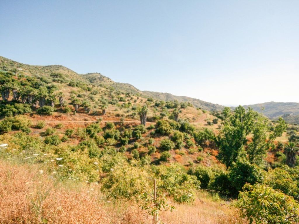 Luxury House for sale in Monda, 545 000 €, Photo 5