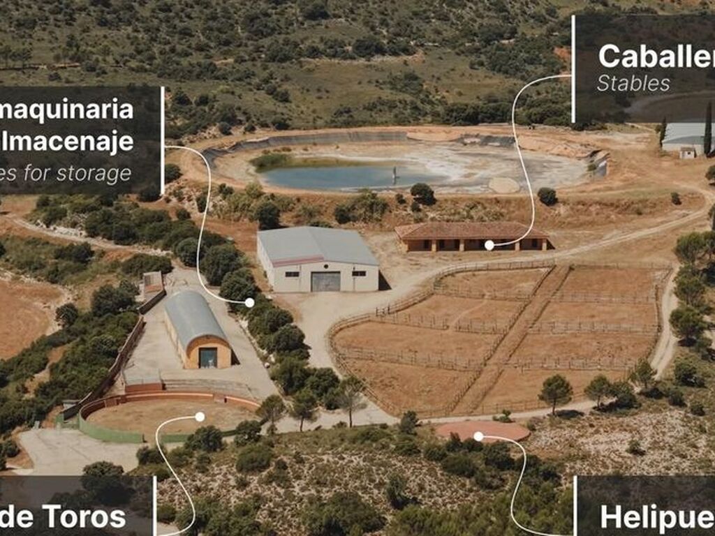 Maison de luxe à vendre à Brea de Tajo, 7 500 000 €, Photo 3
