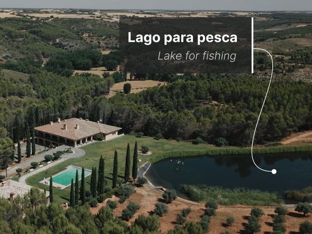 Maison de luxe à vendre à Brea de Tajo, 7 500 000 €, Photo 4