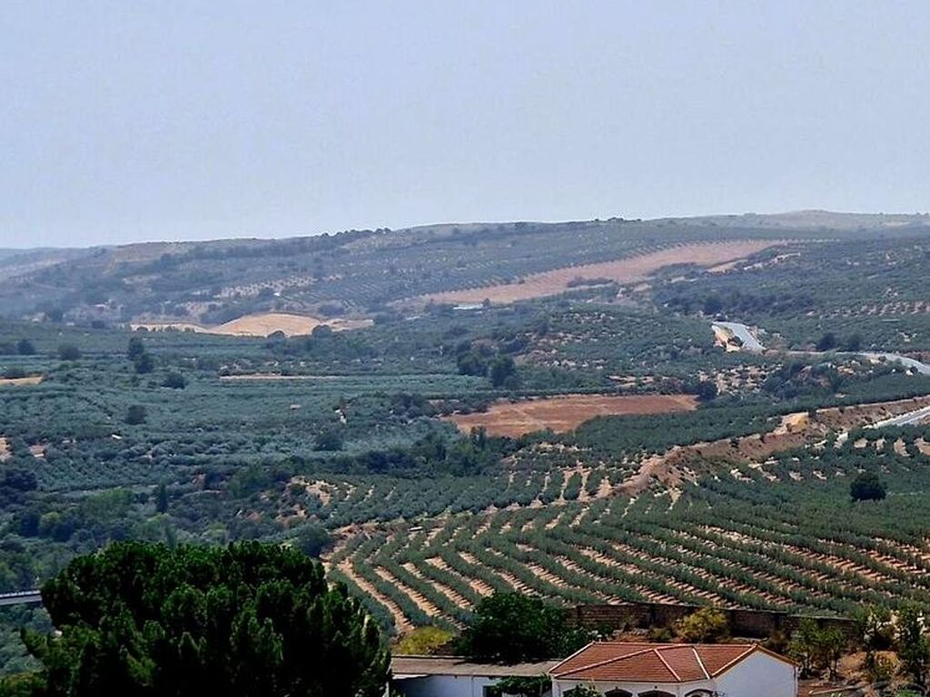 Maison de luxe à vendre à Moraleda de Zafayona, 430 000 €, Photo 4
