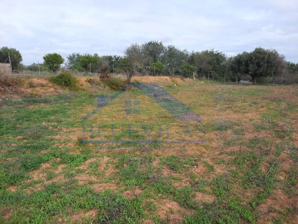 Luxury House for sale in Faro, 850 000 €, Photo 1
