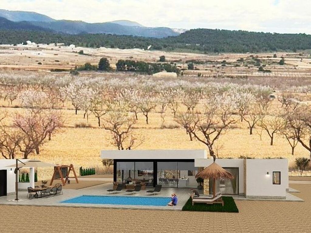 Luxury House for sale in Pinoso, 595 000 €, Photo 3