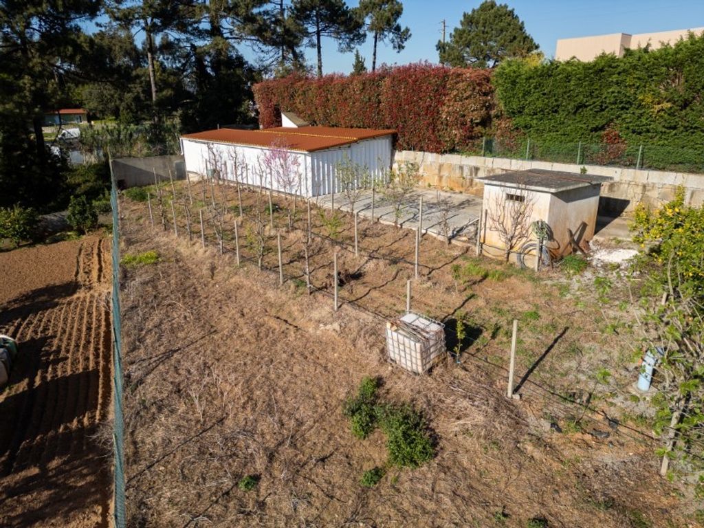 Maison de luxe à vendre à Gondomar, 2 500 000 €, Photo 7