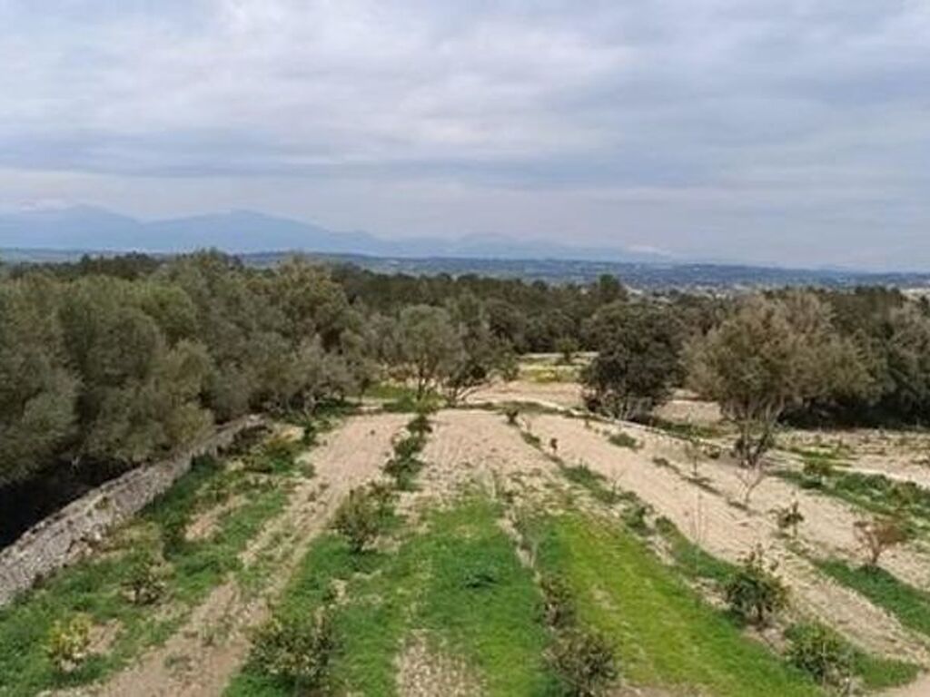 Maison de luxe à vendre à Montuïri, 7 000 000 €, Photo 6