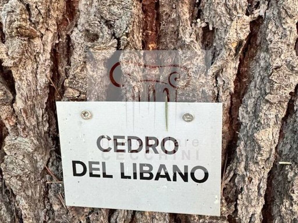 Luxury House for sale in Cesena, 850 000 €, Photo 7