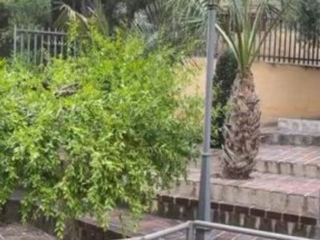 Maison de luxe à vendre à El Palmar, 1 200 000 €, Photo 5