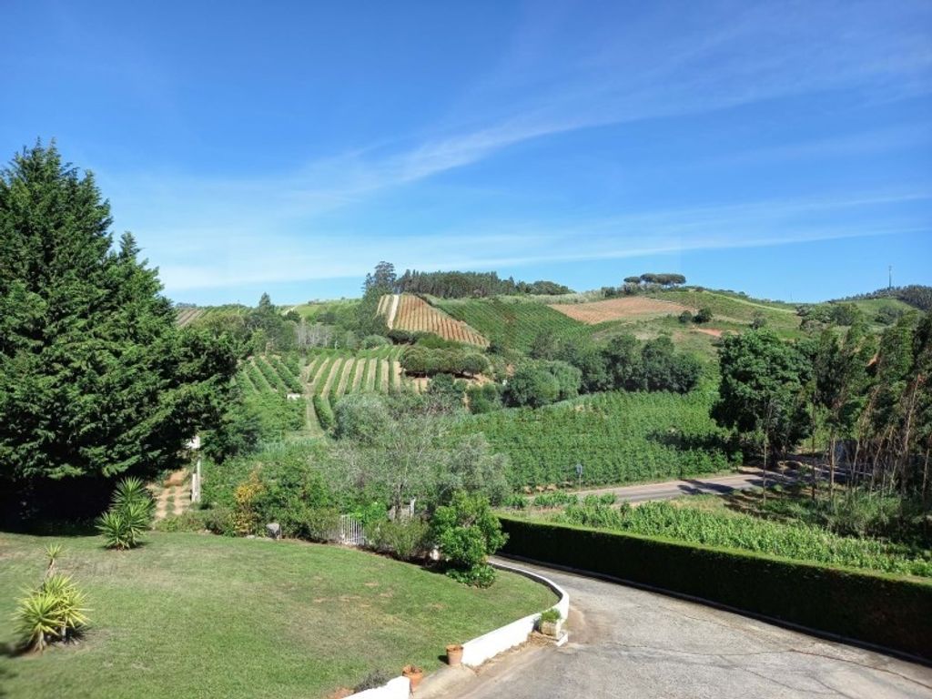 Maison de luxe à vendre à Caldas Da Rainha, 495 000 €, Photo 6