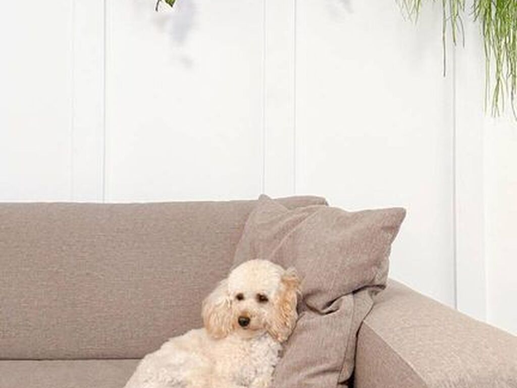 Appartement de luxe à vendre à Calvià, 460 000 €, Photo 6