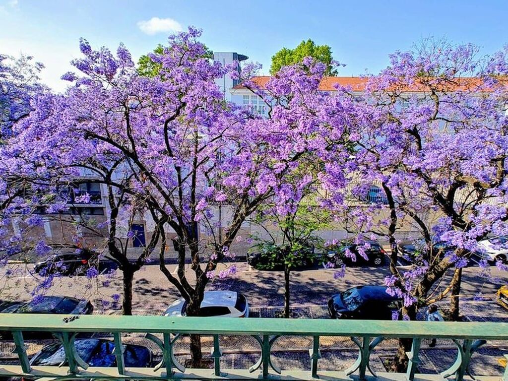 Appartement de luxe à vendre à Saldanha, 1 200 000 €, Photo 2