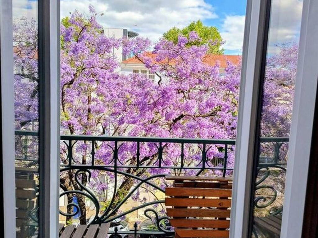 Appartement de luxe à vendre à Saldanha, 1 200 000 €, Photo 6