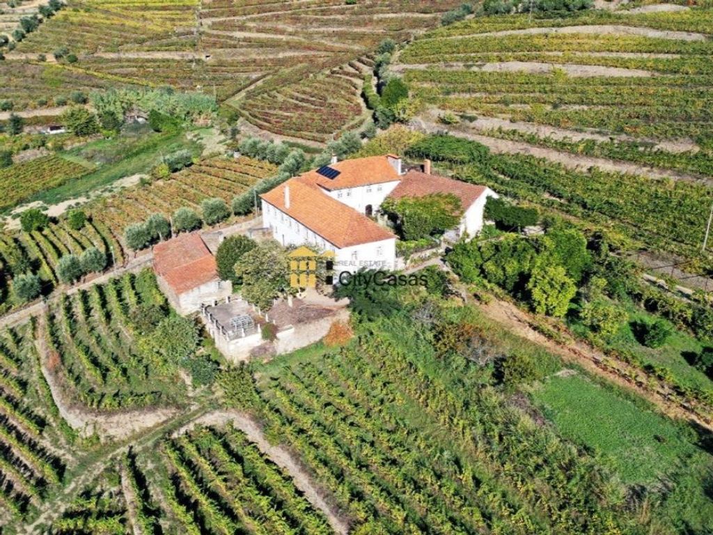 Luxury House for sale in Mesão Frio, 2 100 000 €, Photo 3