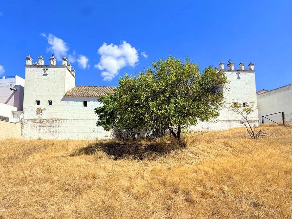 Maison de luxe à vendre à Arcos de La Frontera, 450 000 €, Photo 5