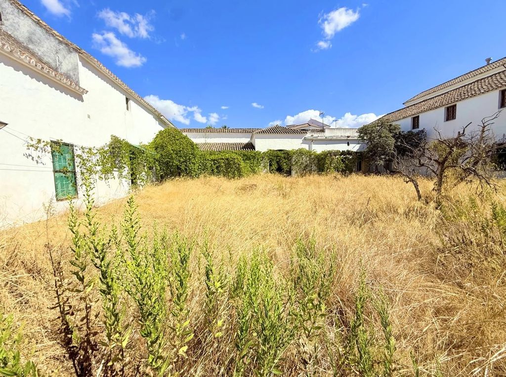 Maison de luxe à vendre à Arcos de La Frontera, 450 000 €, Photo 6
