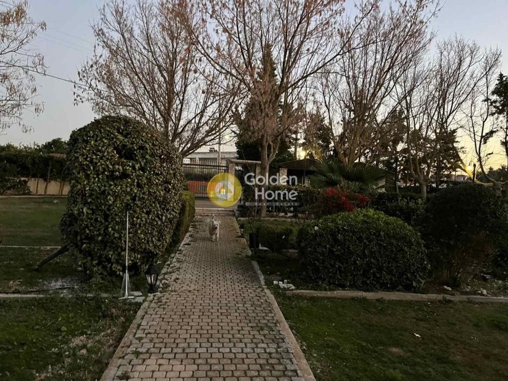 Maison de luxe à vendre à Chalkída, 2 500 000 €, Photo 5