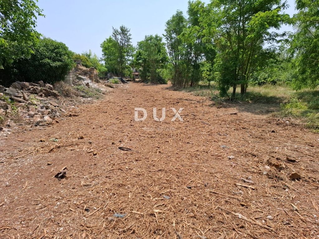 Maison de luxe à vendre à Bale, 645 000 €, Photo 3