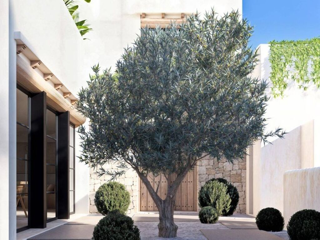 Luxury House for sale in Denia, 1 890 000 €, Photo 5