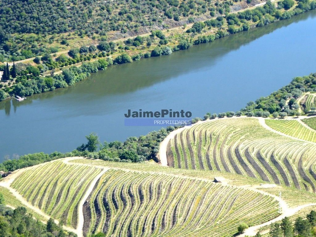 Maison de luxe à vendre à Vila Nova de Foz Côa, 9 500 000 €, Photo 2