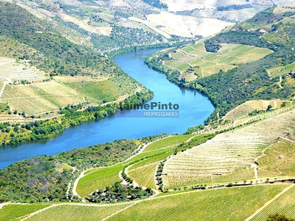 Maison de luxe à vendre à Vila Nova de Foz Côa, 9 500 000 €, Photo 5