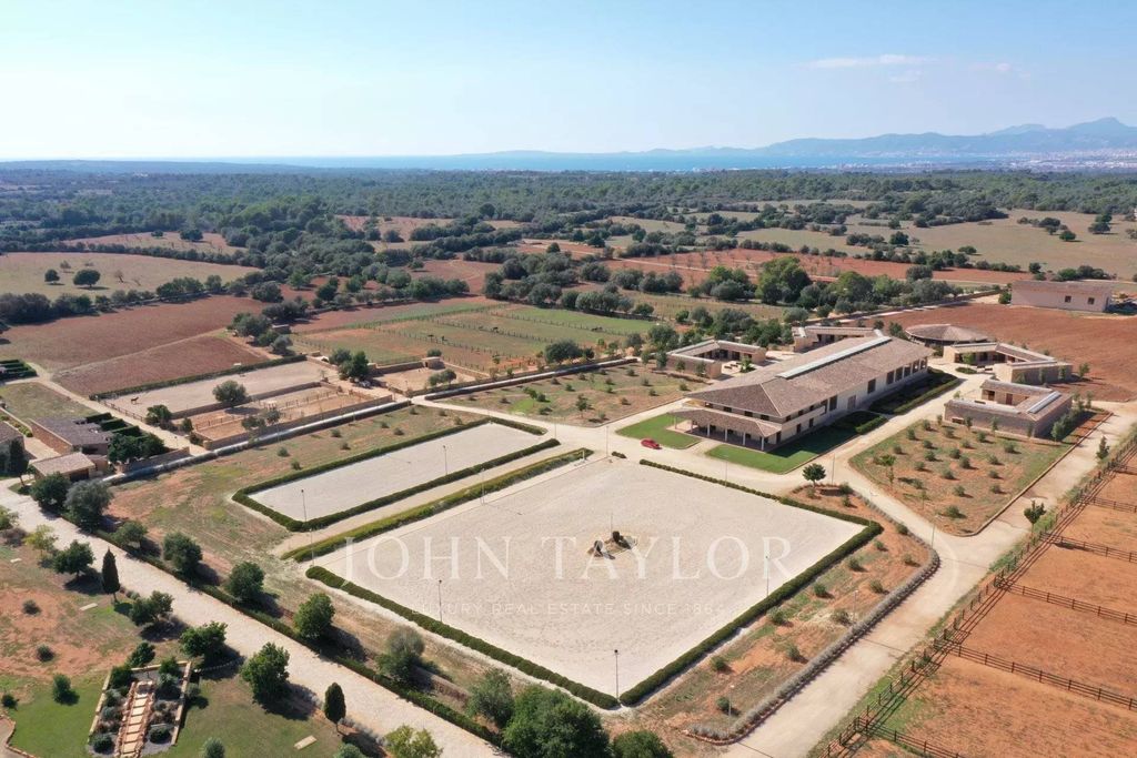 Maison de luxe à vendre à Llucmajor, 25 000 000 €, Photo 3