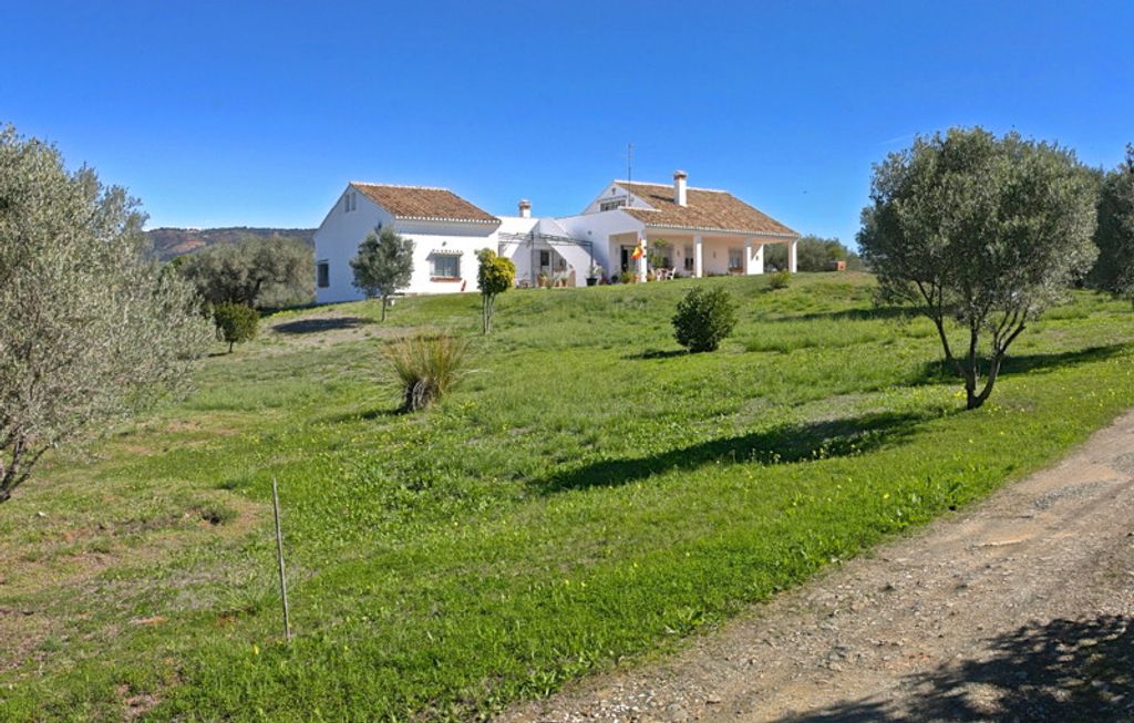 Maison de luxe à vendre à Elviria, 3 200 000 €, Photo 2