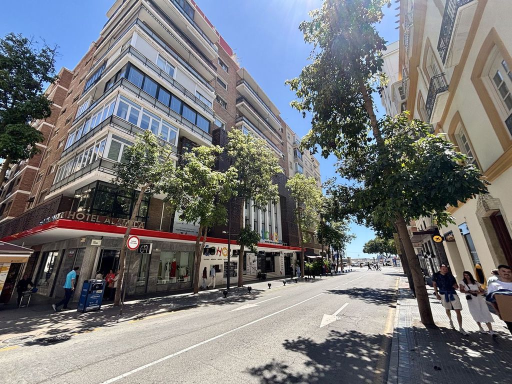 Luxury Apartment for sale in Málaga, 1 800 000 €, Photo 4