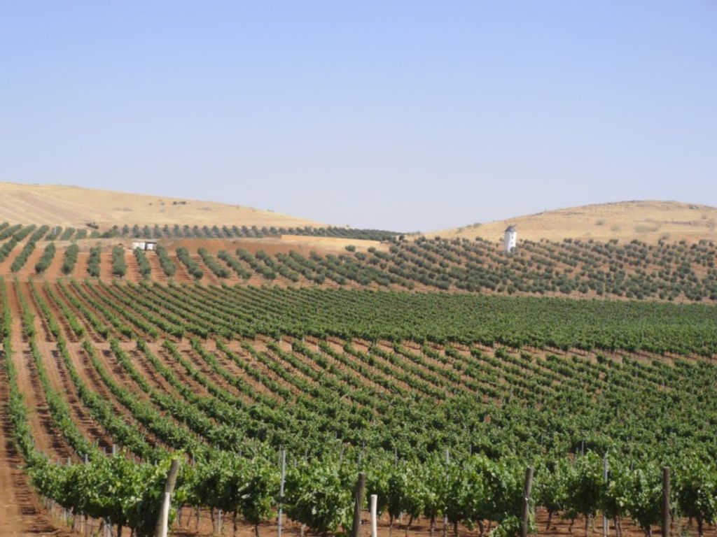 Maison de luxe à vendre à Granada, 5 500 000 €, Photo 1