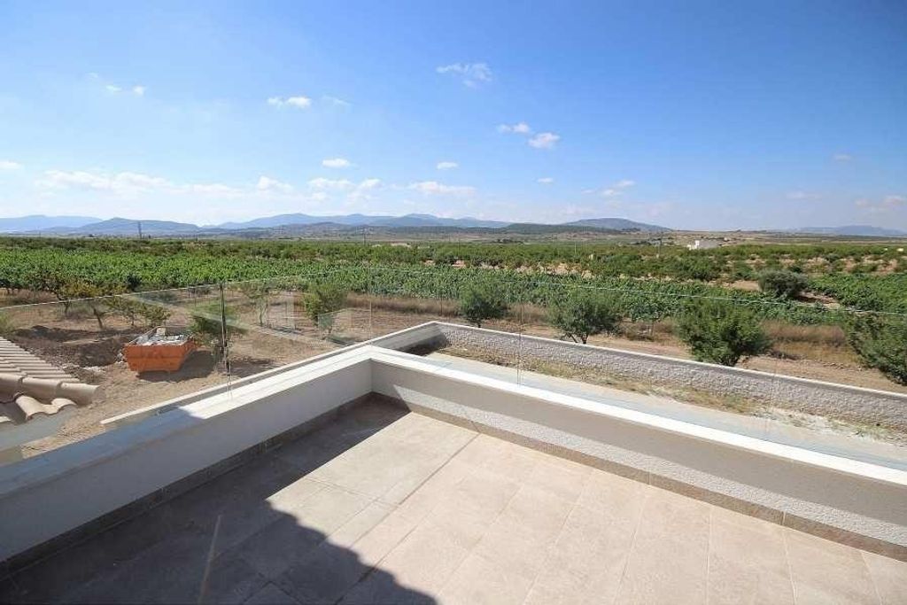 Luxury House for sale in Pinoso, 491 000 €, Photo 3