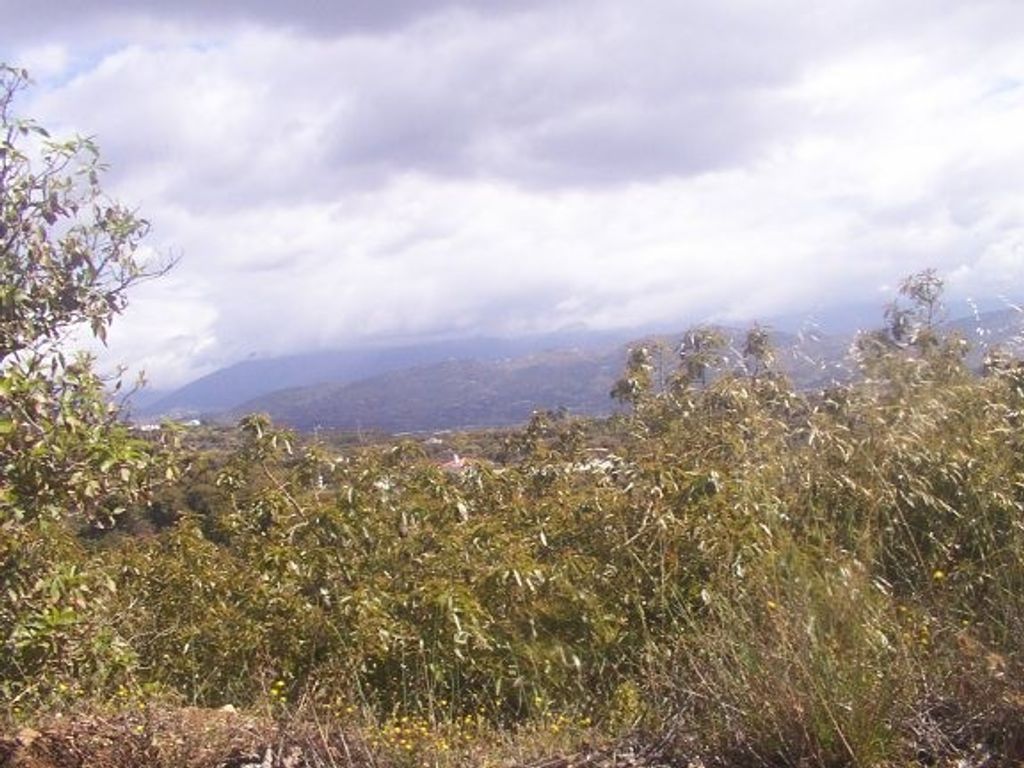 Luxury House for sale in Vélez-Málaga, 2 500 000 €, Photo 4