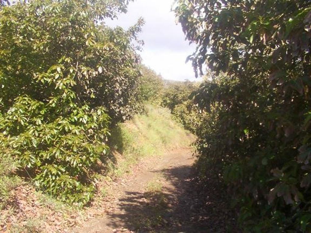 Luxury House for sale in Vélez-Málaga, 2 500 000 €, Photo 6