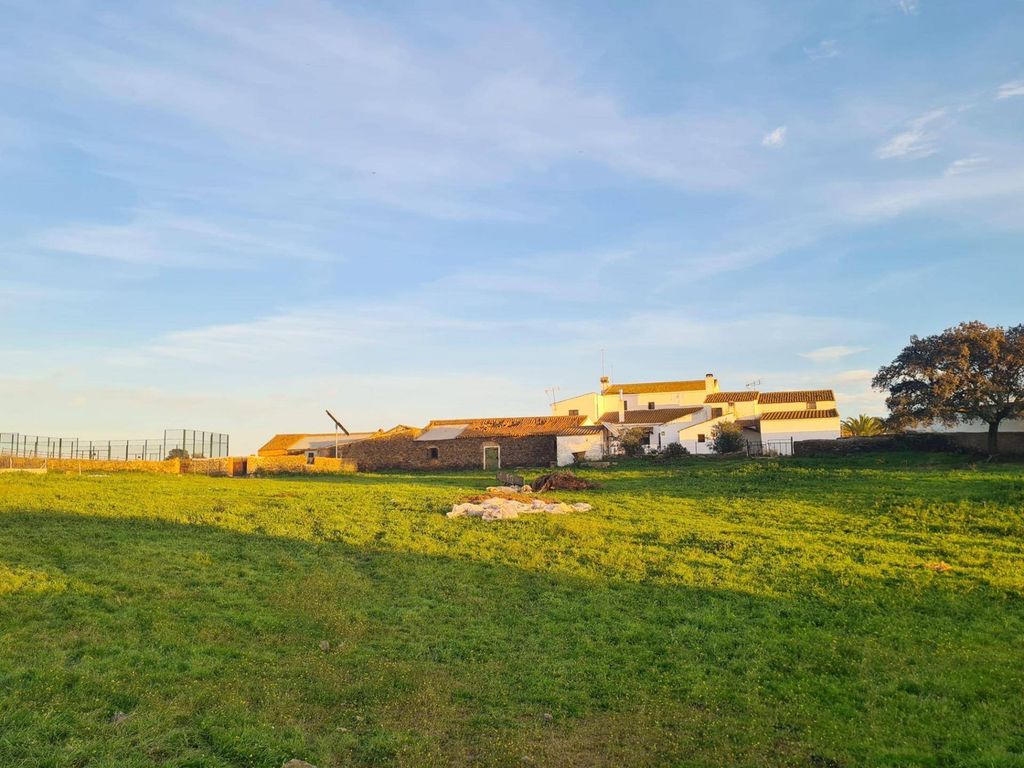 Maison de luxe à vendre à Alosno, 1 450 000 €, Photo 6