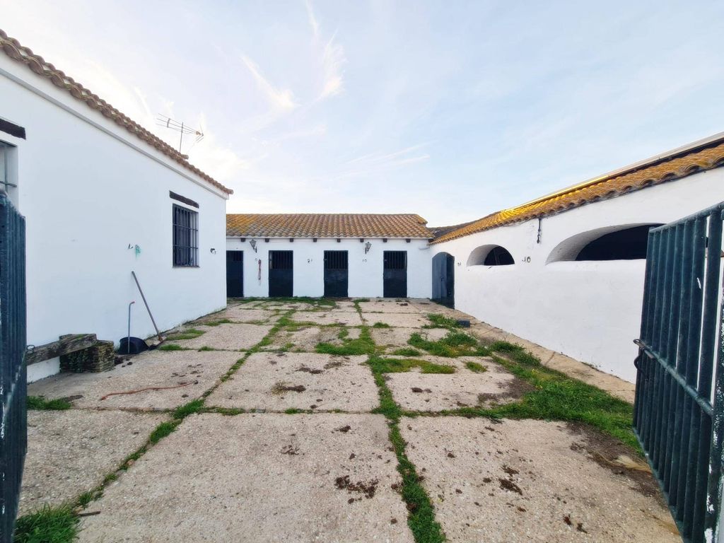 Maison de luxe à vendre à Alosno, 1 450 000 €, Photo 7