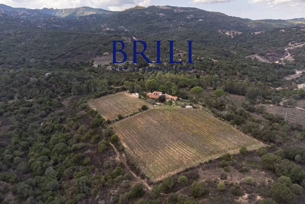 Luxury House for sale in Olbia, 1 100 000 €, Photo 5
