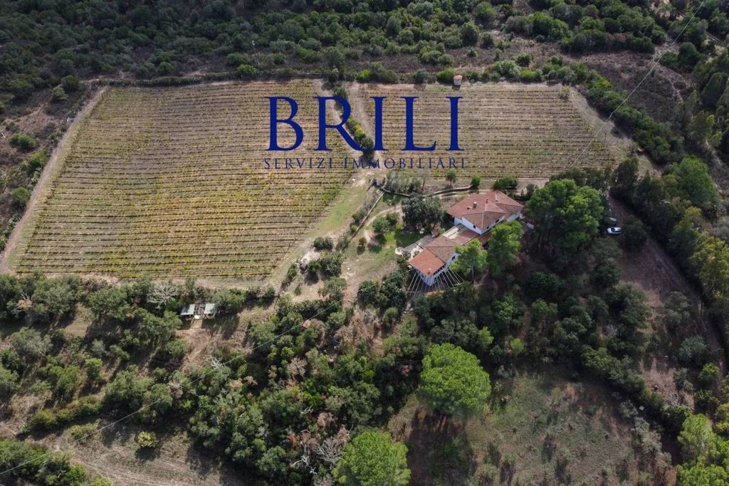 Luxury House for sale in Olbia, 1 100 000 €, Photo 7