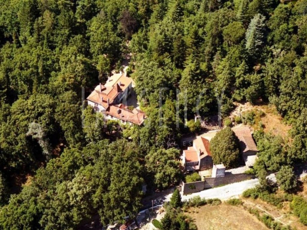 Luxury House for sale in Gouveia, 2 500 000 €, Photo 2