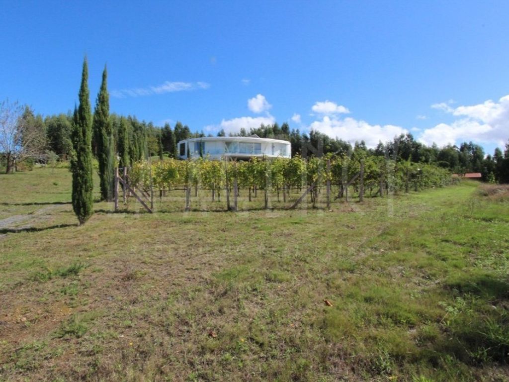 Maison de luxe à vendre à Arganil, 850 000 €, Photo 6