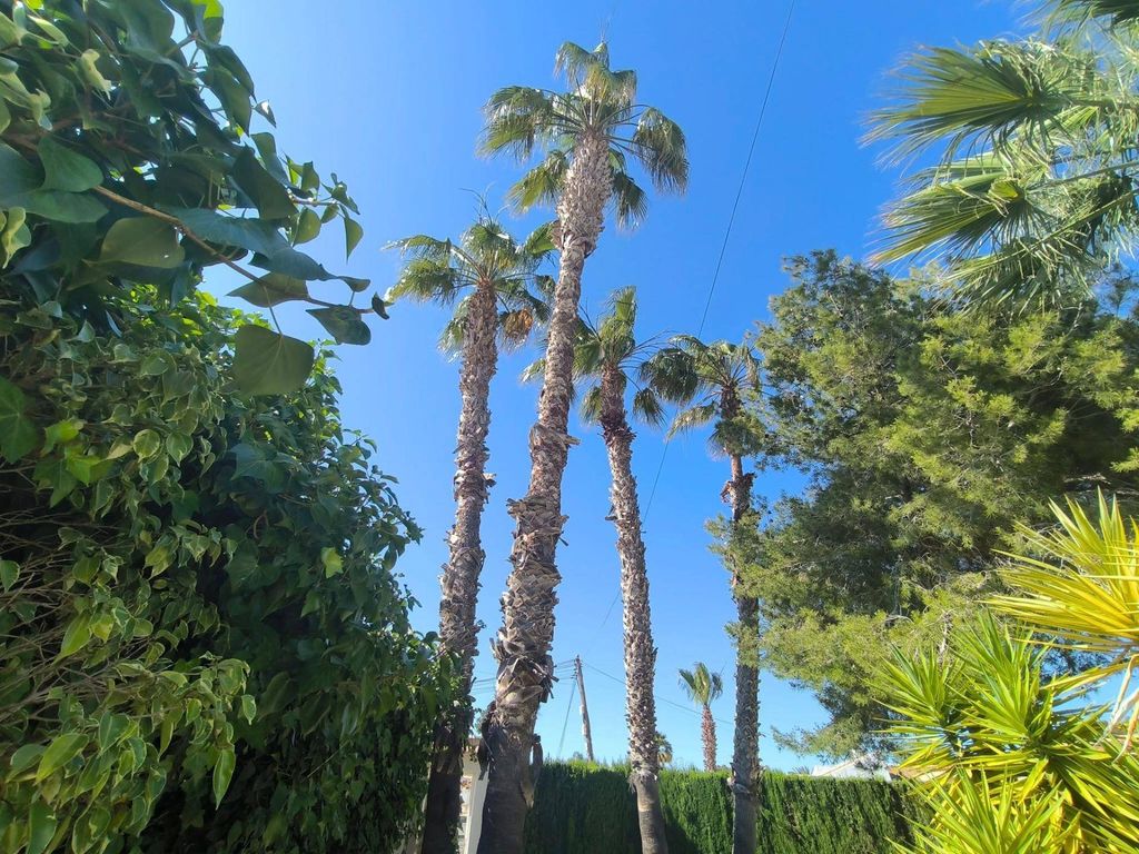 Maison de luxe à vendre à Torrevieja, 499 000 €, Photo 7