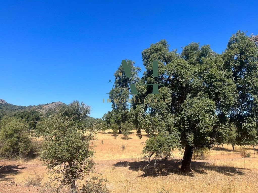 Maison de luxe à vendre à Cáceres, 404 500 €, Photo 2