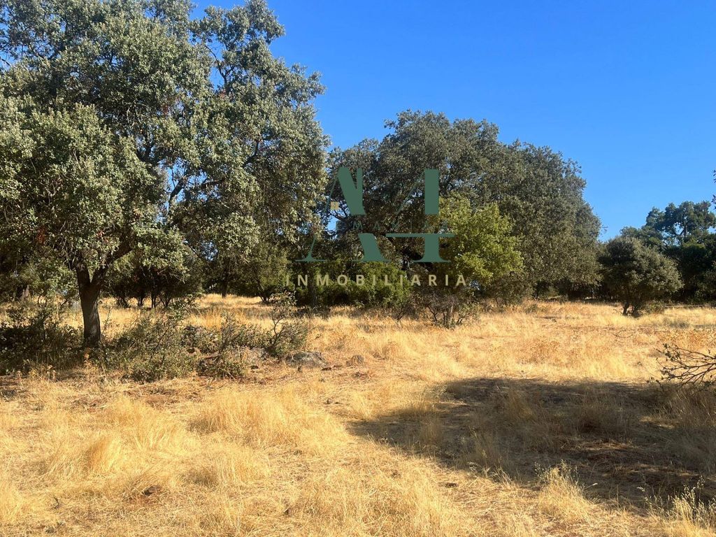 Maison de luxe à vendre à Cáceres, 404 500 €, Photo 4