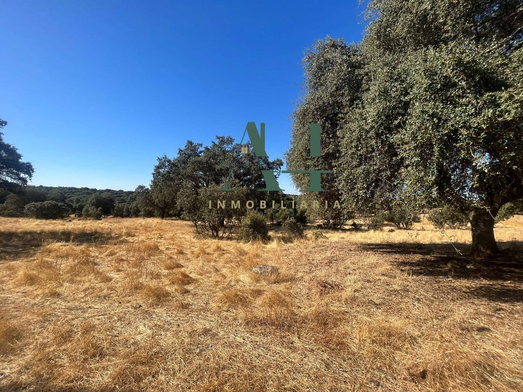 Maison de luxe à vendre à Cáceres, 404 500 €, Photo 5