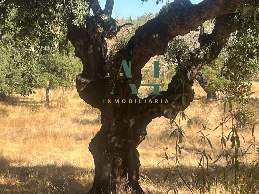 Maison de luxe à vendre à Cáceres, 404 500 €, Photo 6