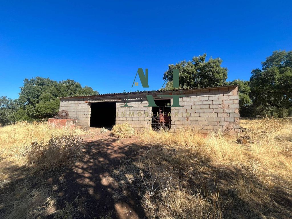 Maison de luxe à vendre à Cáceres, 404 500 €, Photo 7