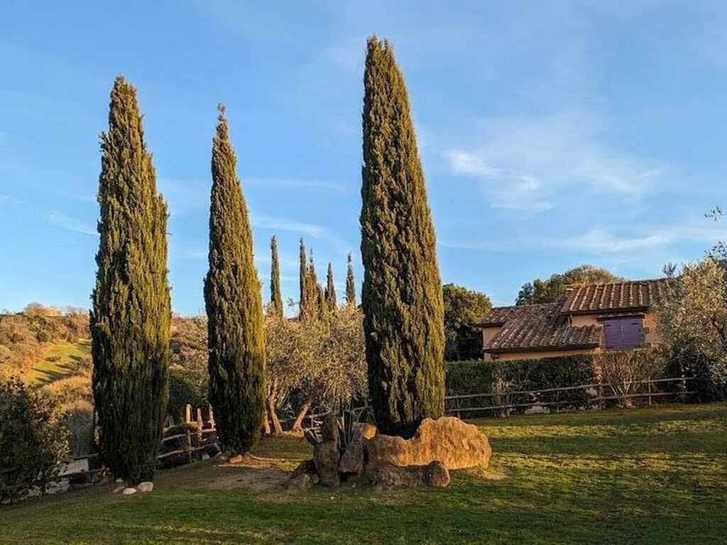 Maison de luxe à vendre à Scansano, 800 000 €, Photo 7