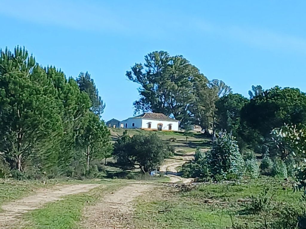 Maison de luxe à vendre à Almonte, 1 349 000 €, Photo 2