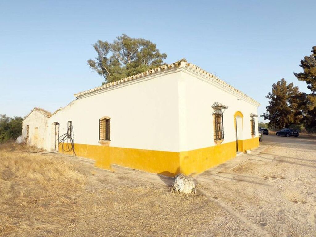 Maison de luxe à vendre à Almonte, 1 349 000 €, Photo 3