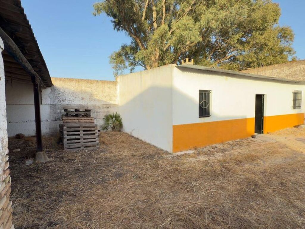 Maison de luxe à vendre à Almonte, 1 349 000 €, Photo 5
