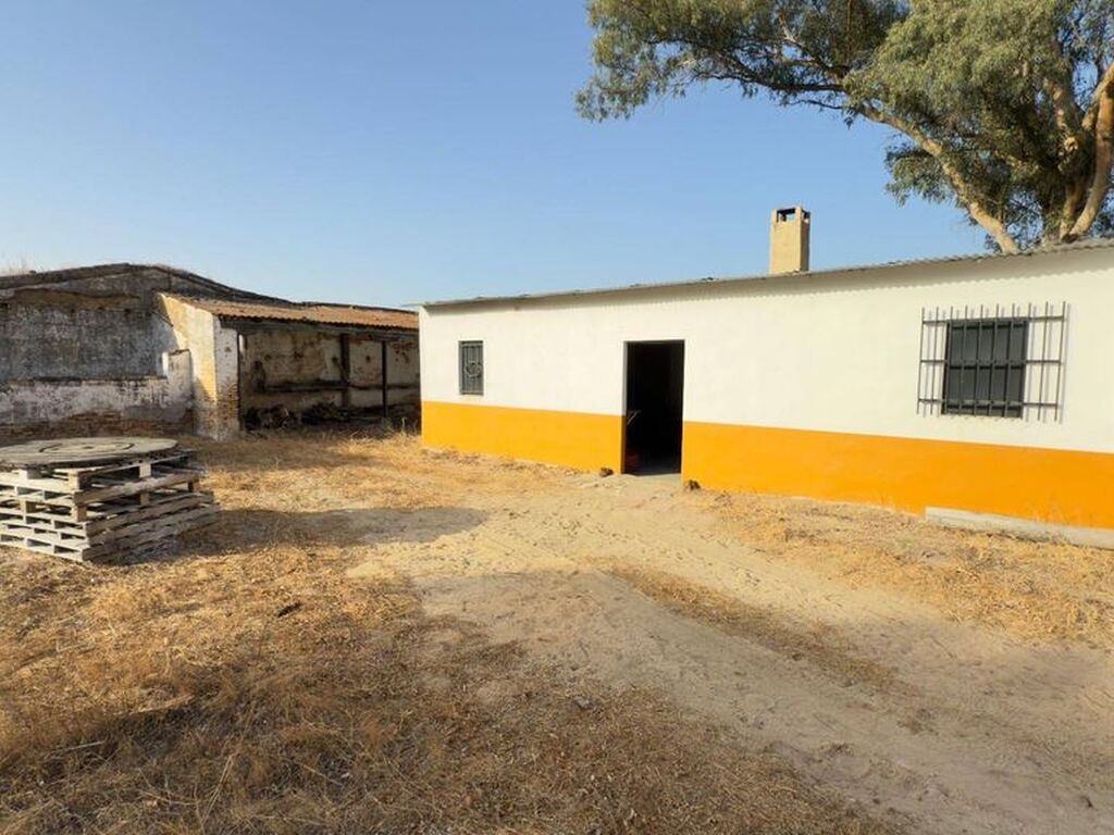 Maison de luxe à vendre à Almonte, 1 349 000 €, Photo 7