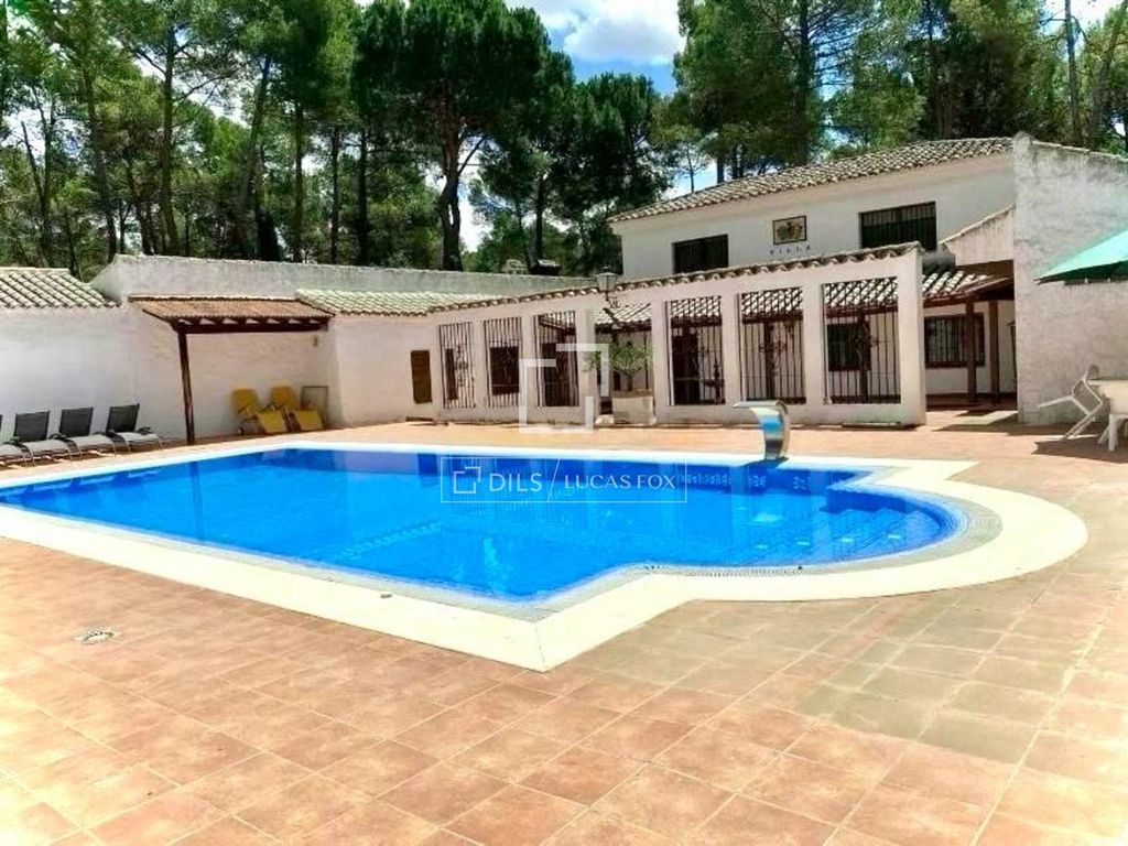 Luxury House for sale in Los Llanos, 640 000 €, Photo 2