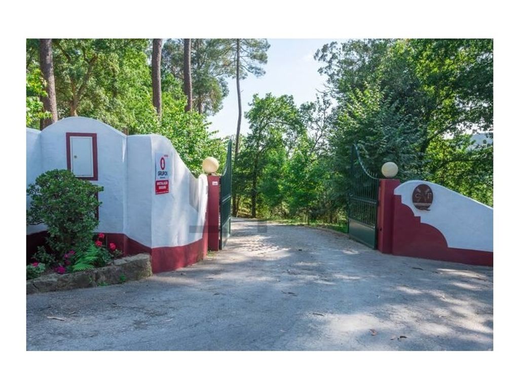 Luxury House for sale in Sever Do Vouga, 2 950 000 €, Photo 2