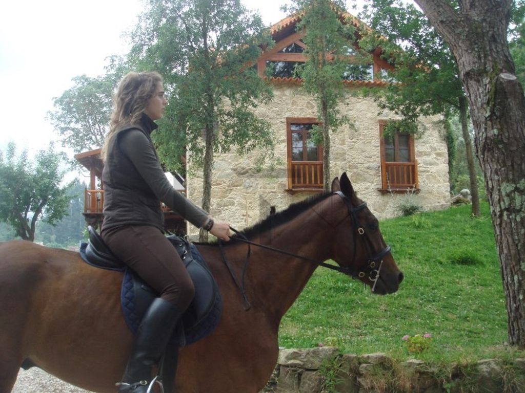 Luxury House for sale in Sever Do Vouga, 2 950 000 €, Photo 5
