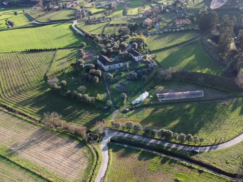 Maison de luxe à vendre à Ponte de Lima, 565 000 €, Photo 5